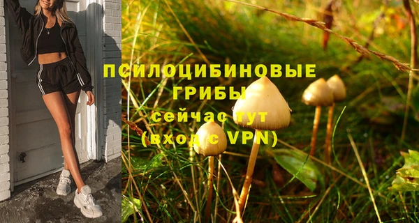 spice Абдулино