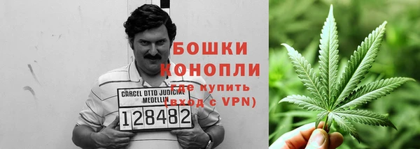 экстази Осташков