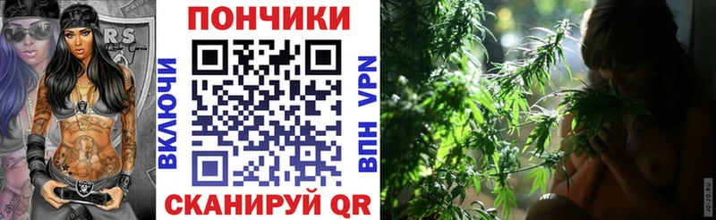 Шишки марихуана конопля  даркнет сайт  мега tor  Аткарск 